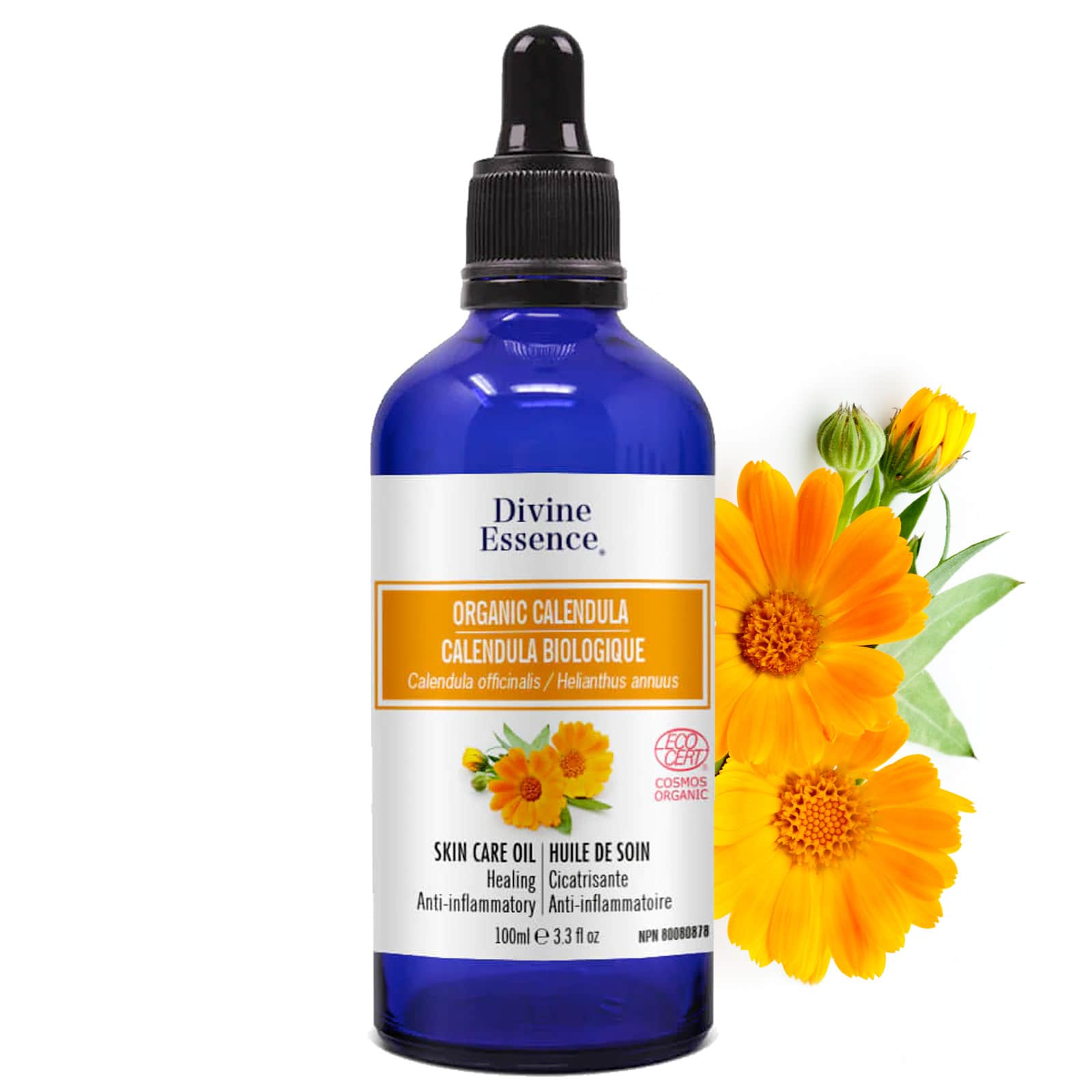 Divine Essence – Huile végétale de calendula bio (souci des Jardins)