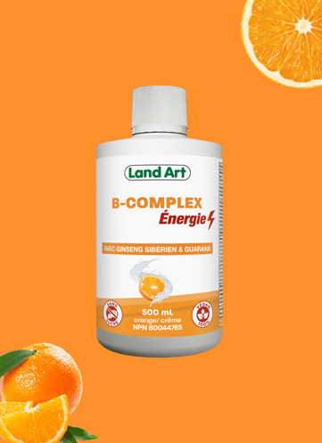 Land Art – B-complex 500 ml –